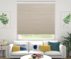 Chai Blackout Cordless Cellular Shade -DHP Sales Store 810496637