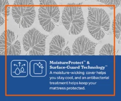 Edgefield Twin XL Plush Euro Pillow Top Mattress -DHP Sales Store 810548843 810548844 810548845 810548846 810548847 810548848 6 4