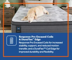 Edgefield Full Plush Euro Pillow Top Mattress -DHP Sales Store 810548843 810548844 810548845 810548846 810548847 810548848 7 2