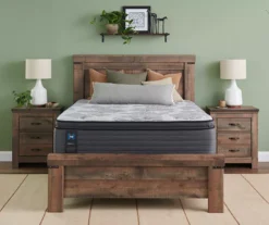 Edgefield Queen Plush Euro Pillow Top Mattress -DHP Sales Store 810548845 1