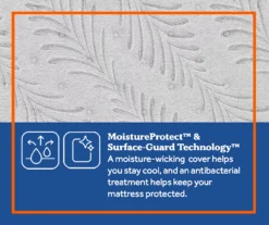 Clearwater Twin Plush Euro Top Mattress -DHP Sales Store 810548915 810548916 810548917 810548918 810548919 810548920 6