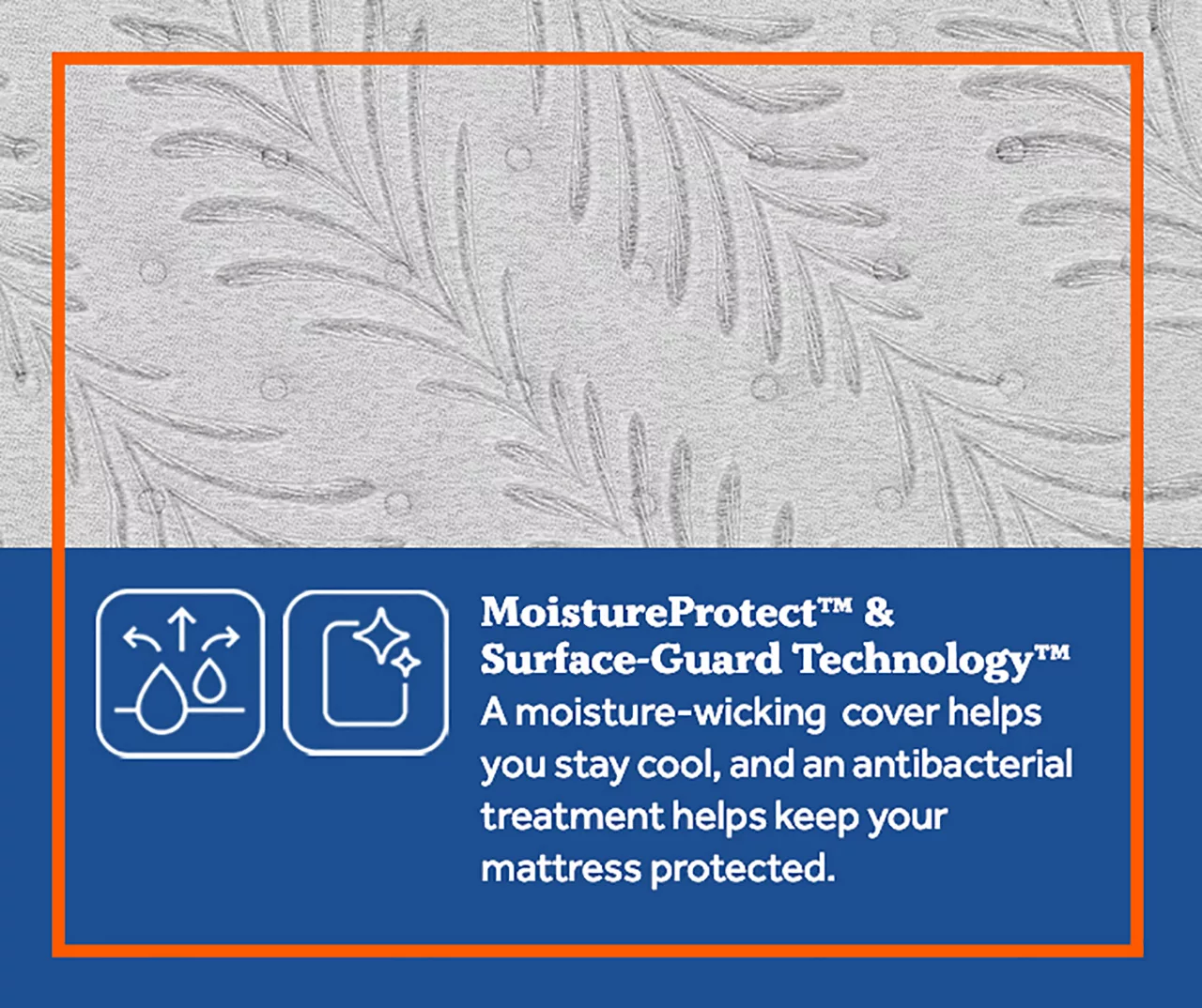 Clearwater California King Plush Euro Top Mattress 8 Clearwater California King Plush Euro Top Mattress - Image 6