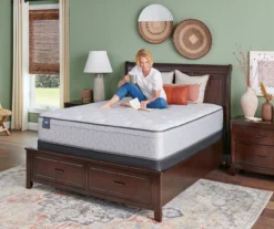 Sealy Cantrill Plush Tight Top Mattress -DHP Sales Store 810548921 810548922 810548923 810548924 810548925 810548926 2 4