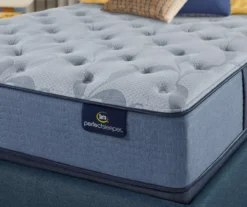 Perfect Sleeper ICollection Monroe California King Plush Mattress -DHP Sales Store 810551822 810551823 810551824 810551825 810551826 810551827 5 2