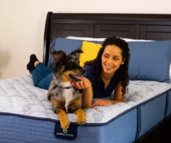 Perfect Sleeper ICollection Manor Full Firm Mattress -DHP Sales Store 810551828 810551829 810551831 810551833 810551832 810551830 F0 4 2