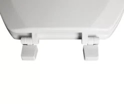 White Oblong Wood Toilet Seat -DHP Sales Store 810557533 111