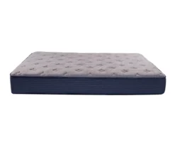 Danielsville Queen Plush Mattress -DHP Sales Store 810602527 810602528 810602529 810602530 810602531 810602532 3