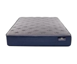 Danielsville Twin XL Plush Mattress
