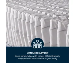 Danielsville California King Plush Mattress -DHP Sales Store 810602527 810602528 810602529 810602530 810602531 810602532 M8 5 2