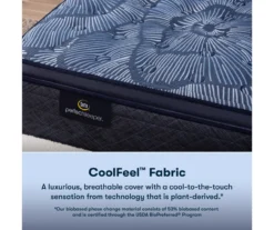 Serta Perfect Sleeper Oasis Sleep 14.5" California King Medium Pillow Top Mattress & Low Profile Box Spring Set -DHP Sales Store combo980012 4