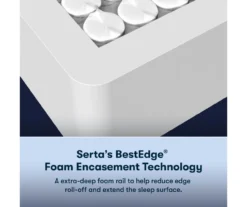Serta Perfect Sleeper Oasis Sleep 12" Twin Extra Firm Mattress & Low Profile Box Spring Set -DHP Sales Store combo980026 5