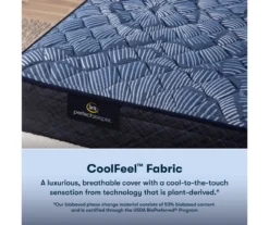 Serta Perfect Sleeper Oasis Sleep 12" Full Extra Firm Mattress & Box Spring Set -DHP Sales Store combo980029 4