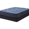 Serta Perfect Sleeper Radiant Rest Hybrid 14" Twin XL Plush Mattress & Box Spring Set -DHP Sales Store combo980063