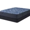 Serta Perfect Sleeper Oasis Sleep 13.25" California King Plush Mattress & Box Spring Set -DHP Sales Store combo980083