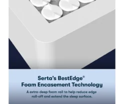 Serta Perfect Sleeper Radiant Rest Hybrid 14" California King Firm Mattress & Box Spring Set -DHP Sales Store combo980095 5