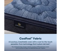 Serta Perfect Sleeper Oasis Sleep 15" King Plush Pillow Top Mattress & Low Profile Box Spring Set -DHP Sales Store combo980106 4