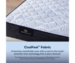 Serta Perfect Sleeper Nurture Night 12" Full Firm Mattress & Box Spring Set -DHP Sales Store combo980113 4