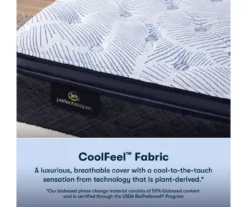 Serta Perfect Sleeper Nurture Night 14.5" Full Plush Pillow Top Mattress & Low Profile Box Spring Set -DHP Sales Store combo980126 4