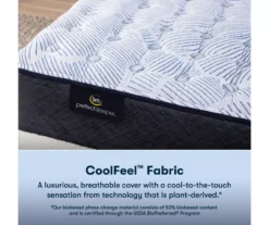 Serta Perfect Sleeper Nurture Night 13.5" Twin XL Medium Mattress & Low Profile Box Spring Set -DHP Sales Store combo980136 4