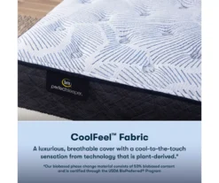 Serta Perfect Sleeper Nurture Night 13.5" Queen Plush Mattress & Low Profile Box Spring Set -DHP Sales Store combo980152 4