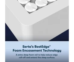Serta Perfect Sleeper Radiant Rest Hybrid 14" Twin XL Firm Mattress & Low Profile Box Spring Set -DHP Sales Store combo980205 5